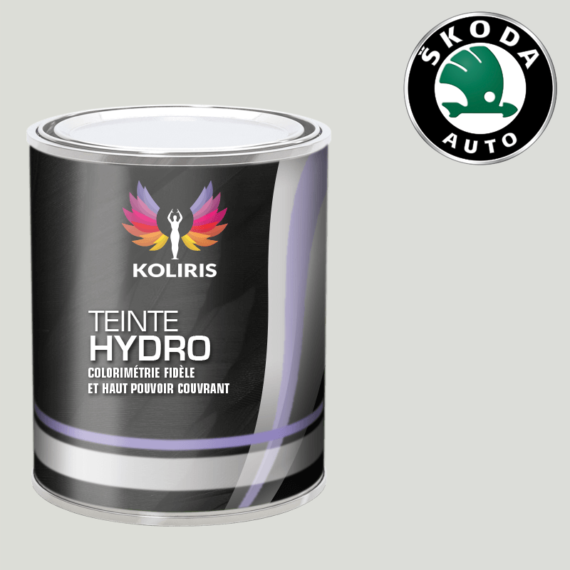 Peinture voiture hydro Skoda