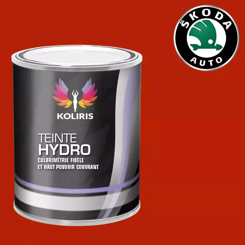 Peinture voiture hydro Skoda