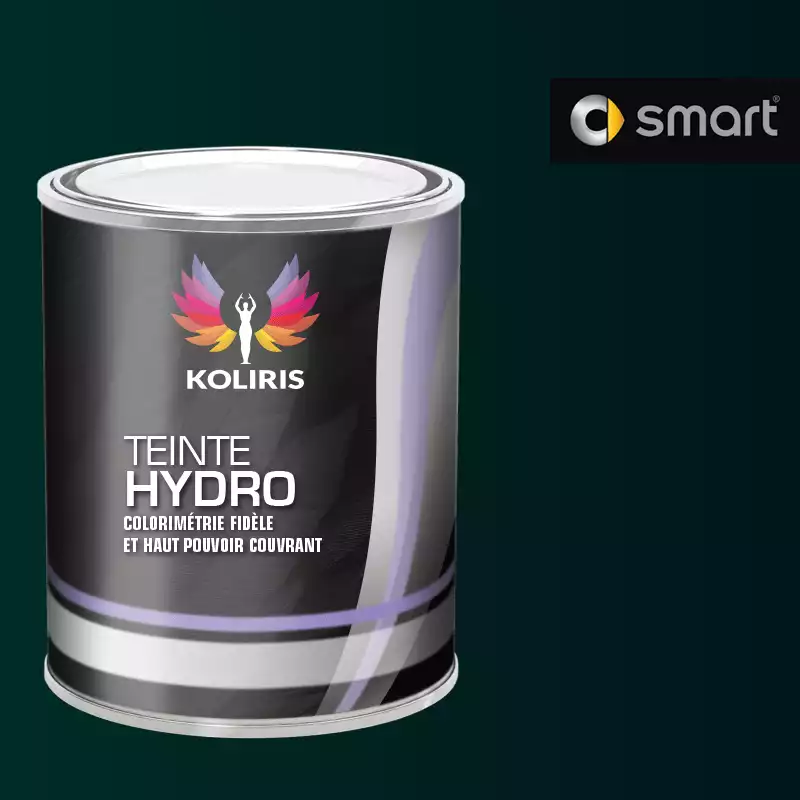 Peinture voiture hydro Smart