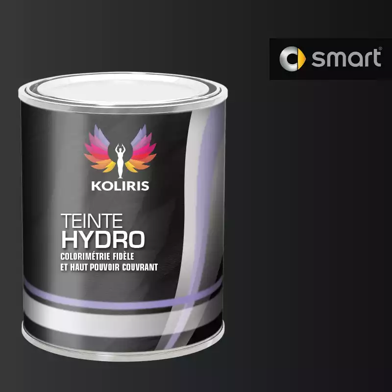 Peinture voiture hydro Smart