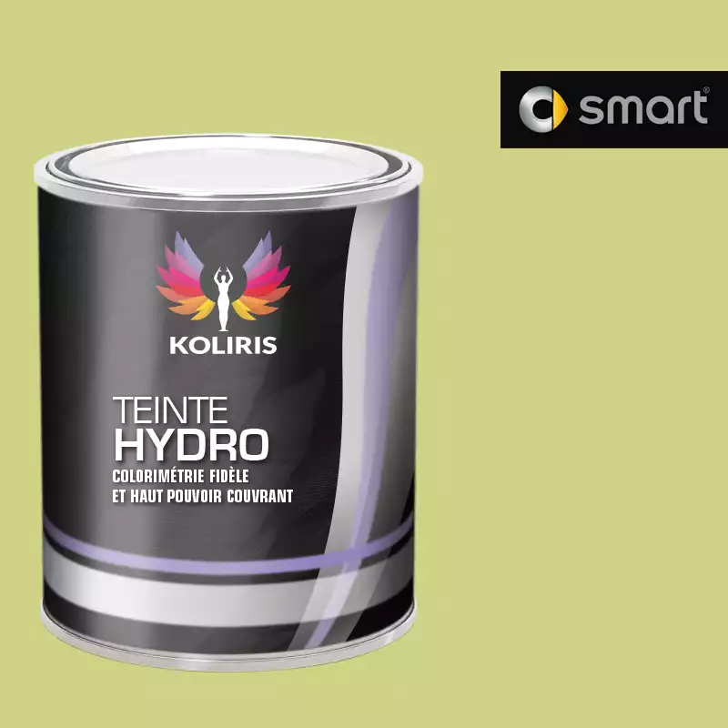 Peinture voiture hydro Smart