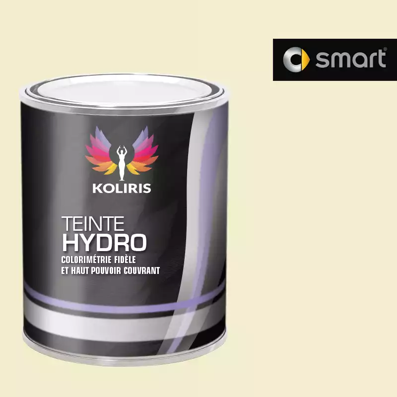 Peinture voiture hydro Smart