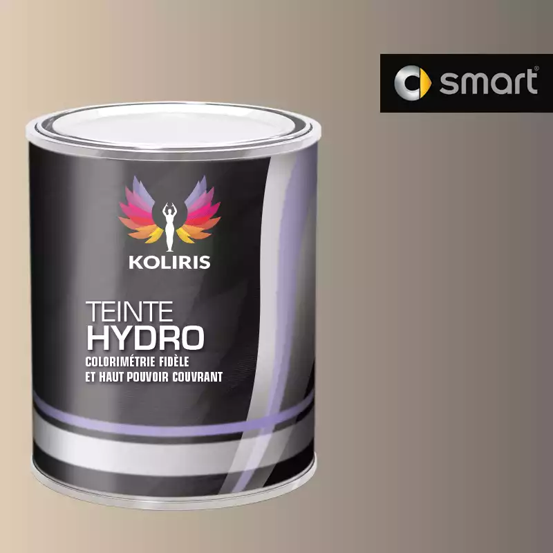 Peinture voiture hydro Smart