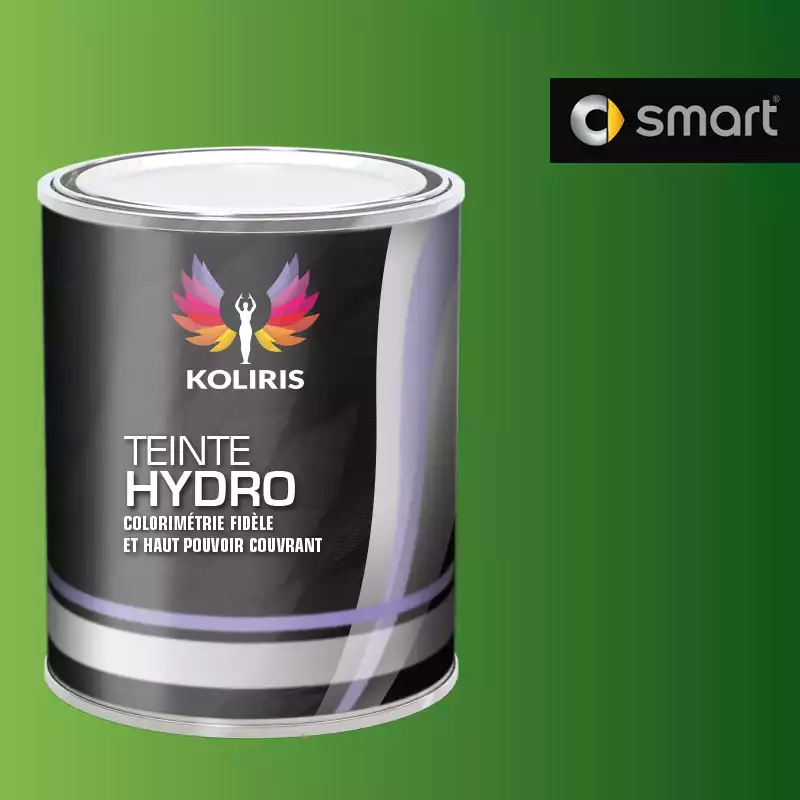 Peinture voiture hydro Smart