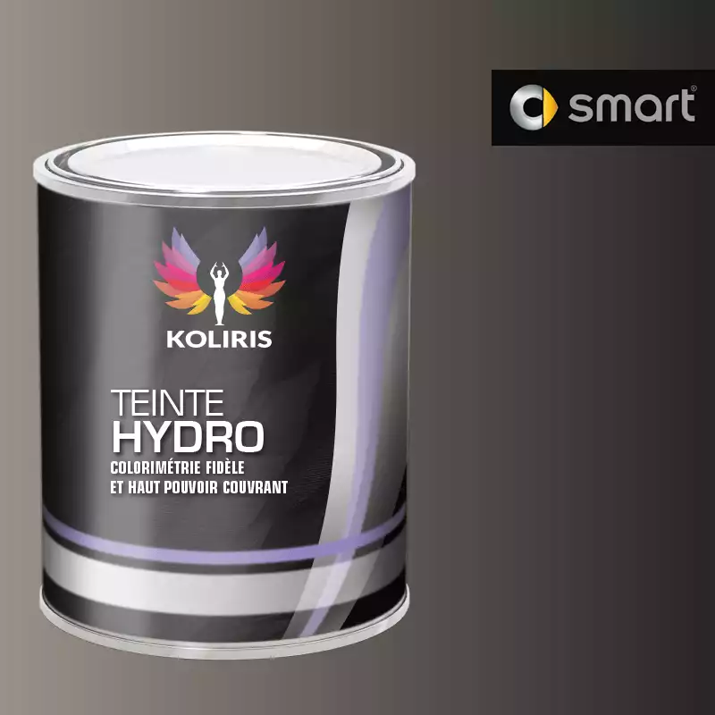 Peinture voiture hydro Smart