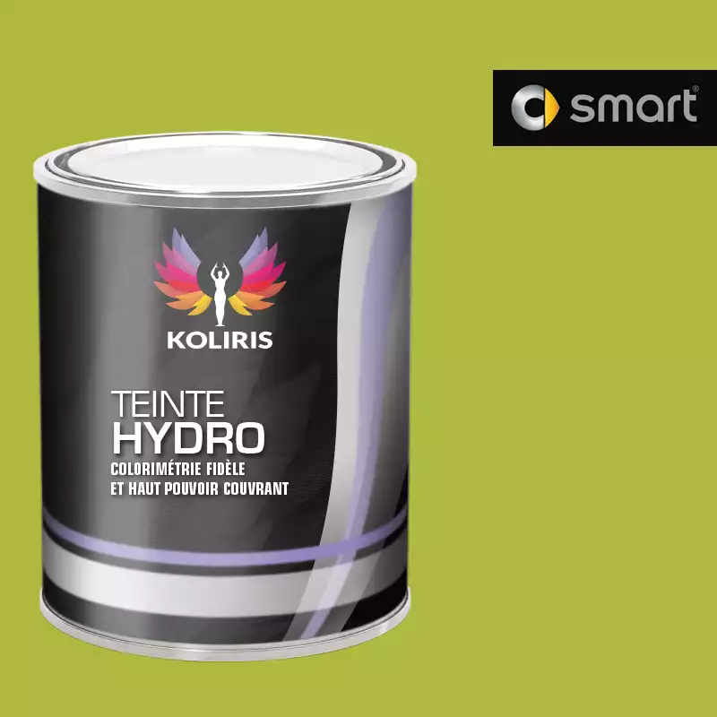 Peinture voiture hydro Smart