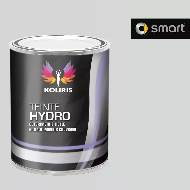 Peinture voiture hydro Smart