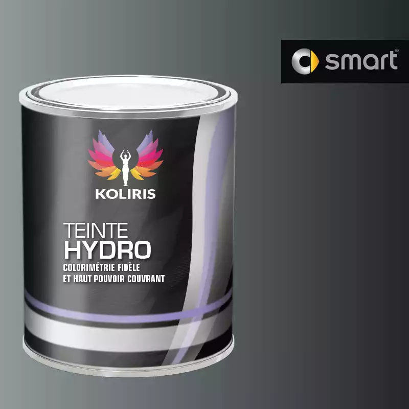 Peinture voiture hydro Smart