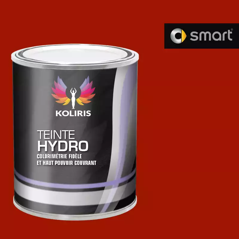 Peinture voiture hydro Smart