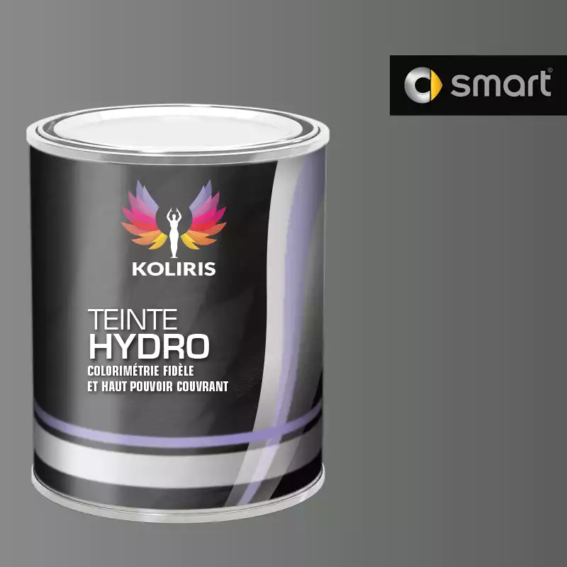 Peinture voiture hydro Smart