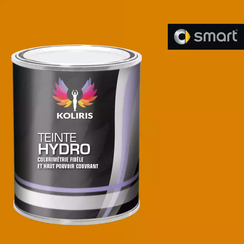 Peinture voiture hydro Smart