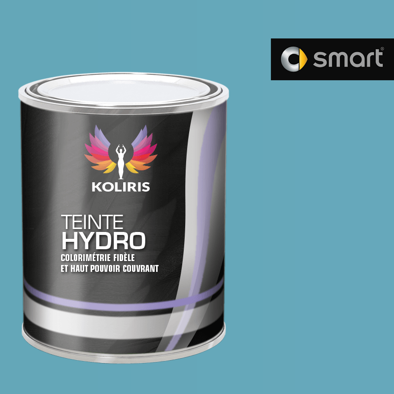 Peinture voiture hydro Smart