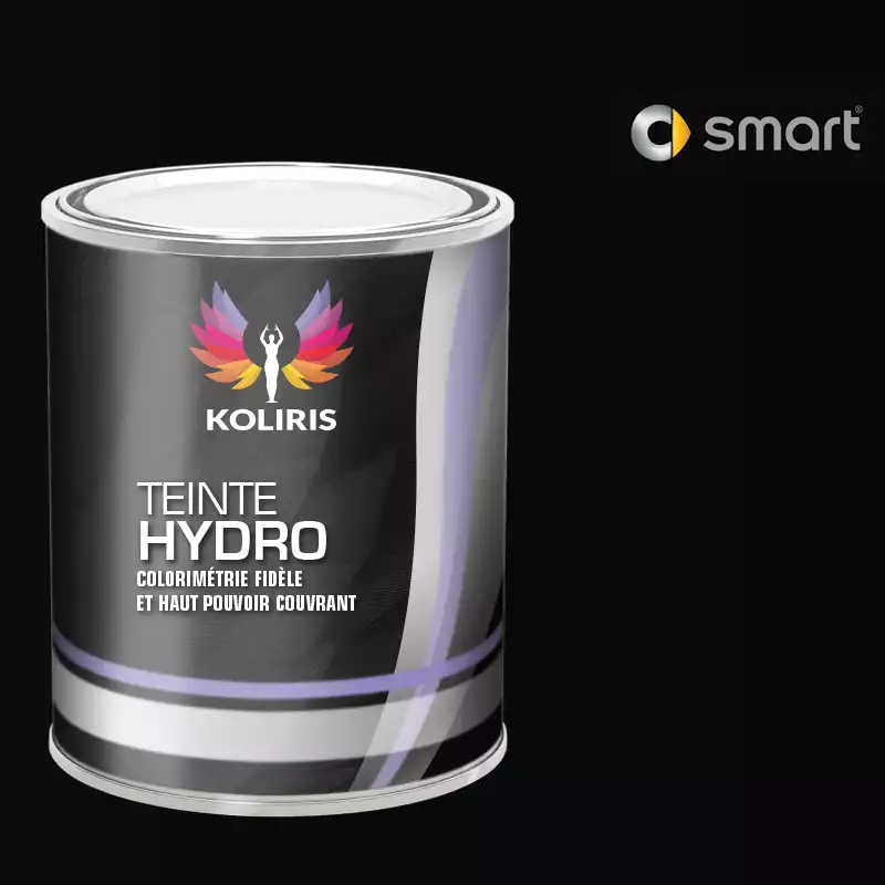 Peinture voiture hydro Smart