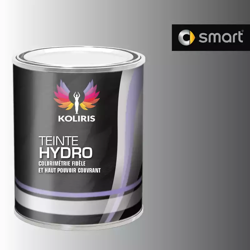 Peinture voiture hydro Smart