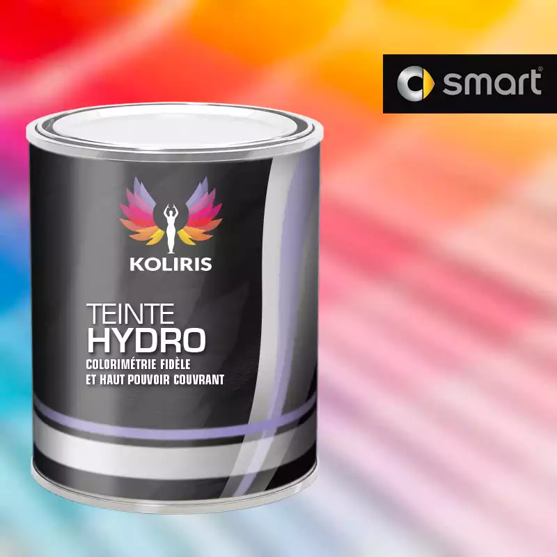 Peinture voiture hydro Smart