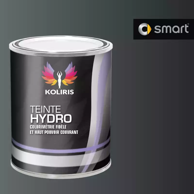 Peinture voiture hydro Smart