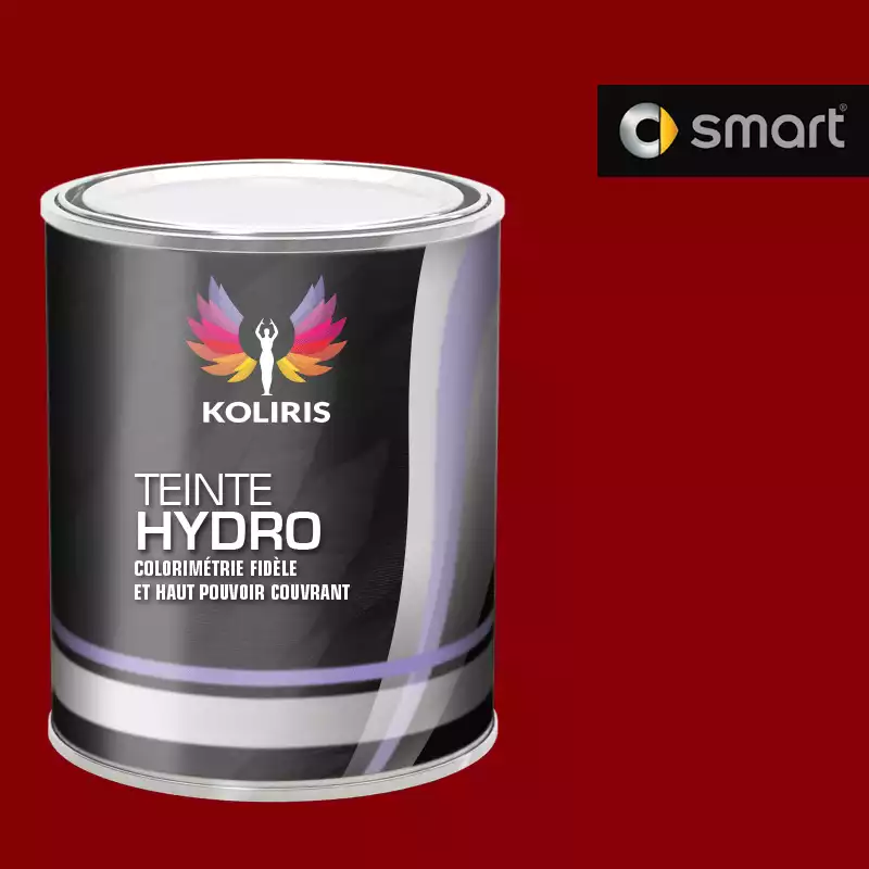 Peinture voiture hydro Smart