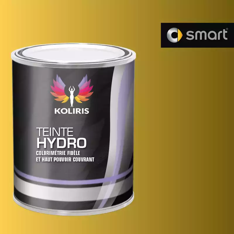 Peinture voiture hydro Smart