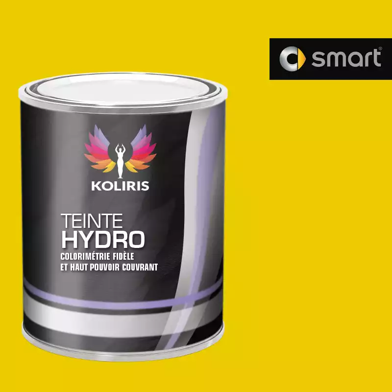 Peinture voiture hydro Smart