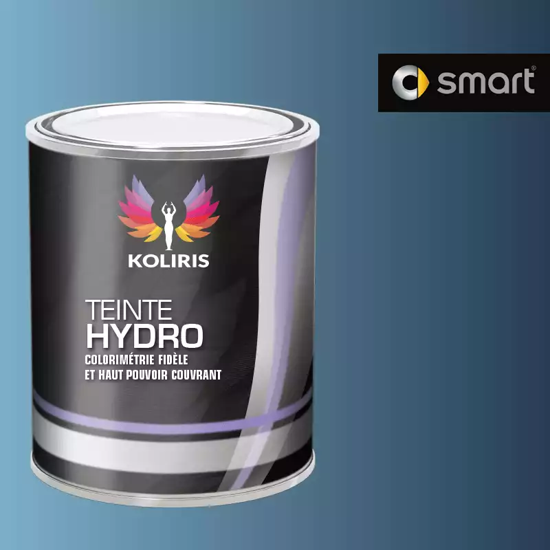 Peinture voiture hydro Smart