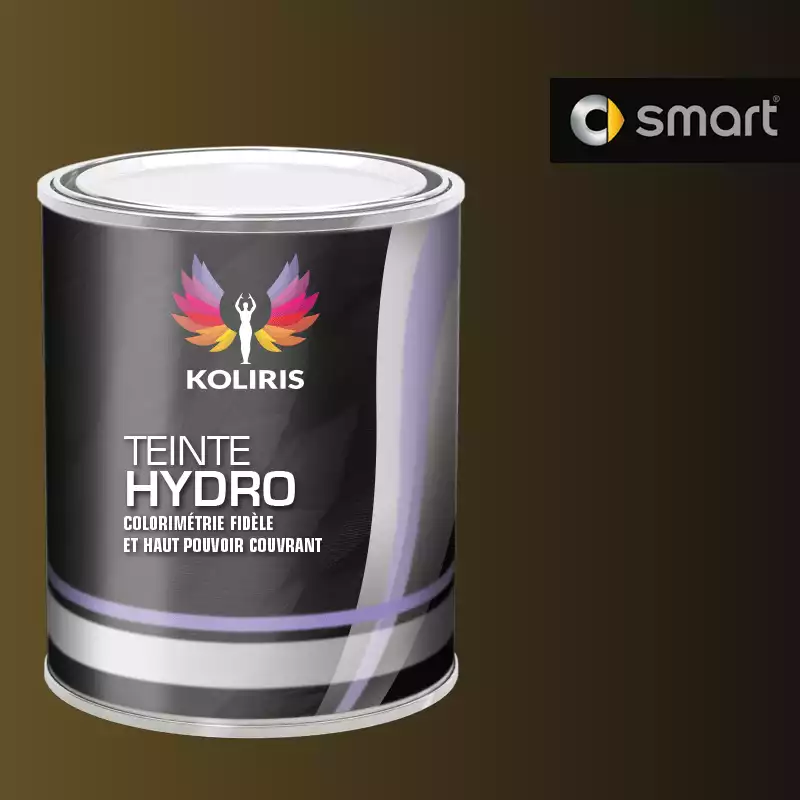 Peinture voiture hydro Smart