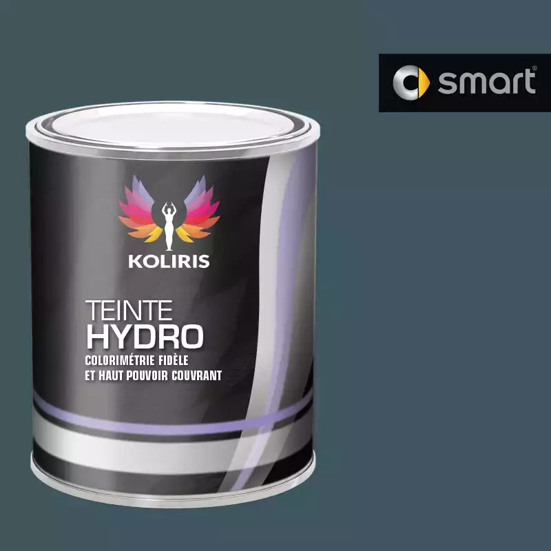 Peinture voiture hydro Smart