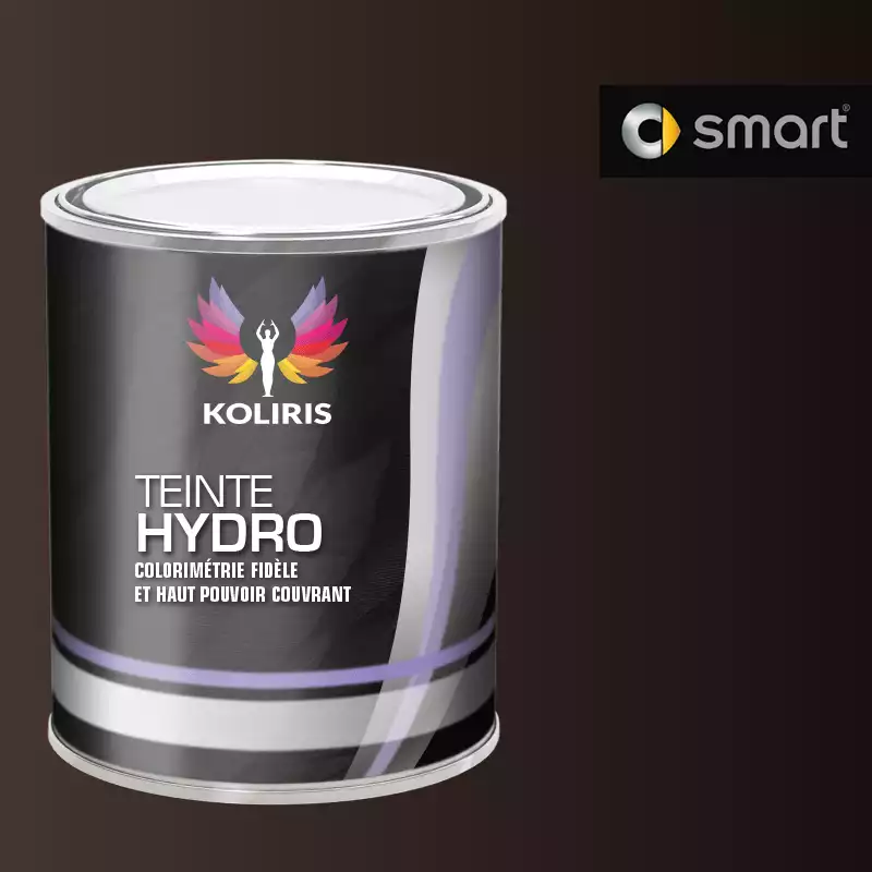 Peinture voiture hydro Smart