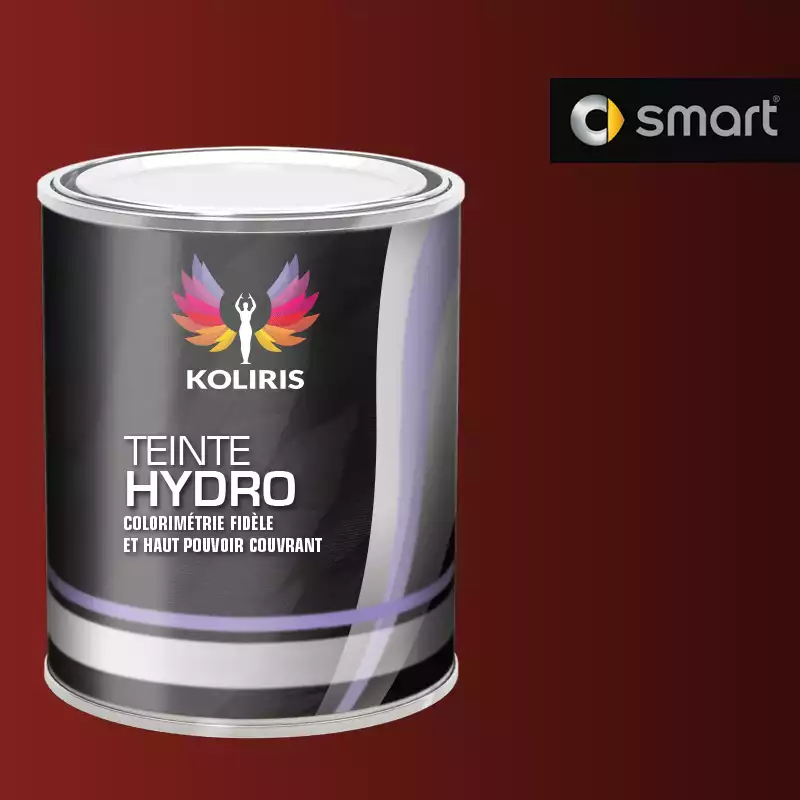 Peinture voiture hydro Smart