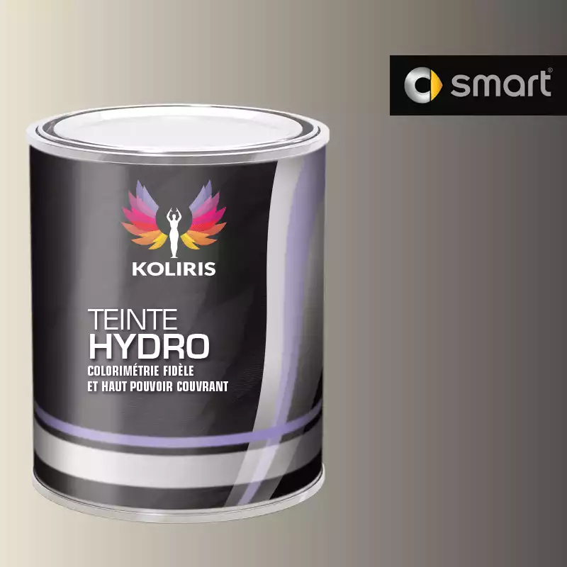 Peinture voiture hydro Smart