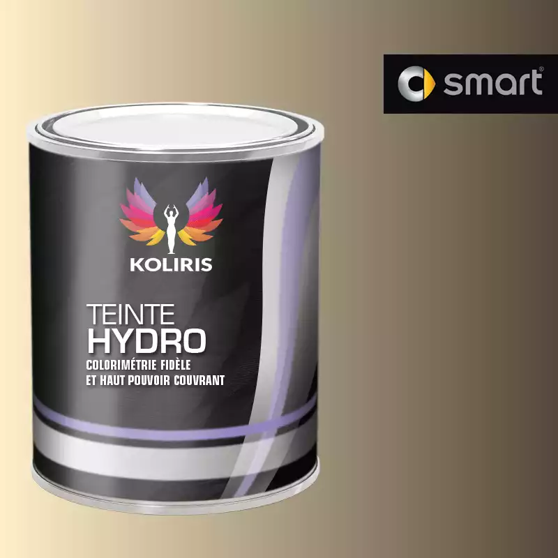 Peinture voiture hydro Smart