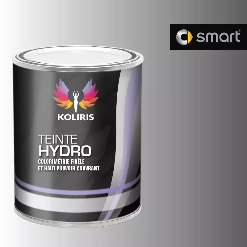 Peinture voiture hydro Smart