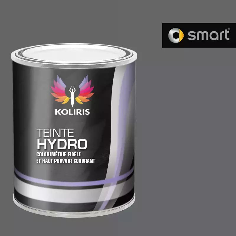 Peinture voiture hydro Smart