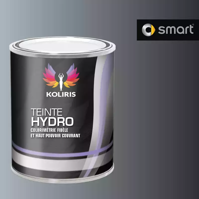 Peinture voiture hydro Smart