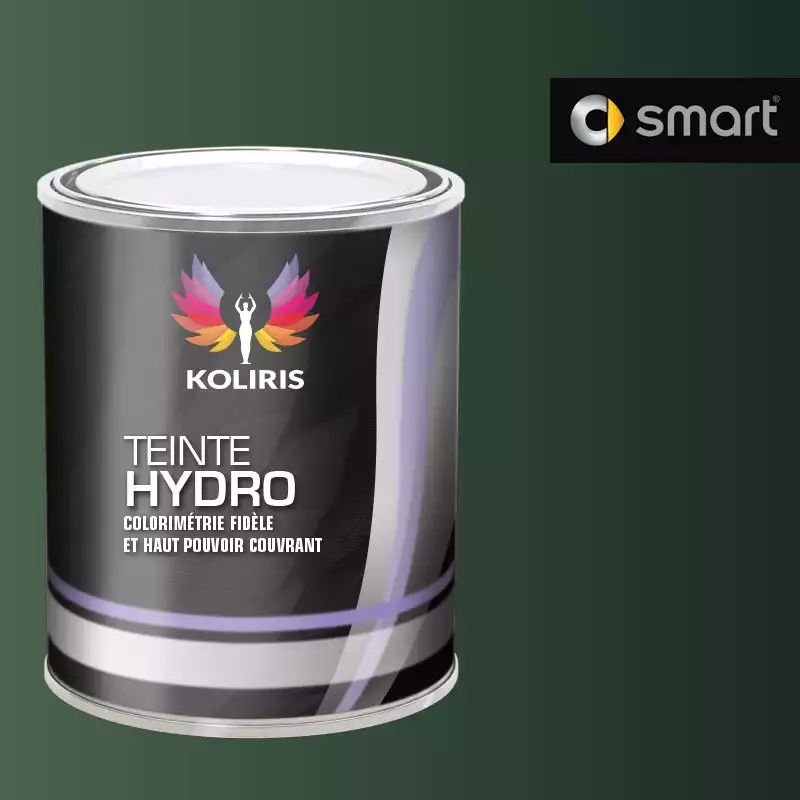 Peinture voiture hydro Smart