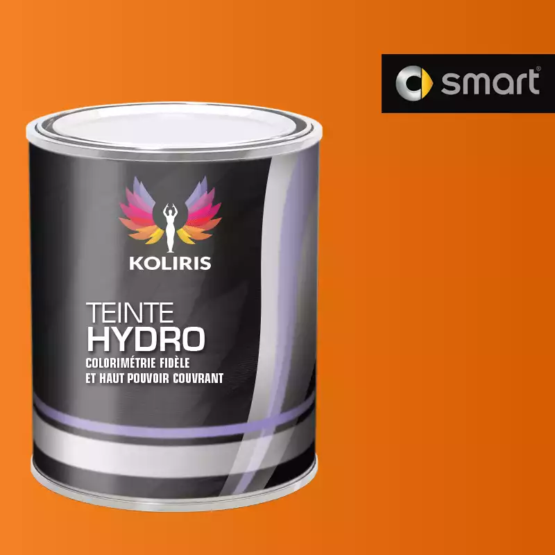 Peinture voiture hydro Smart