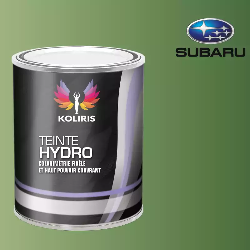 Peinture voiture hydro Subaru