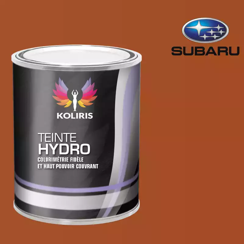 Peinture voiture hydro Subaru