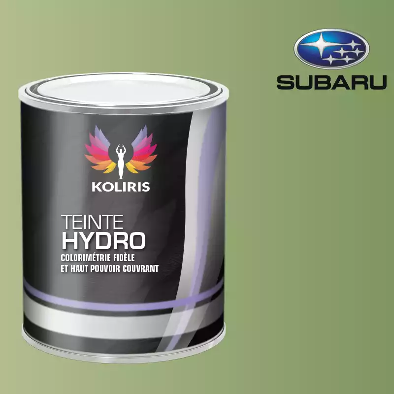 Peinture voiture hydro Subaru