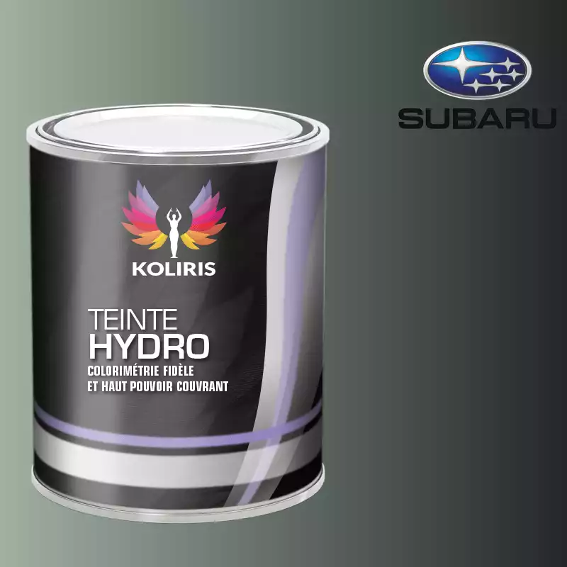 Peinture voiture hydro Subaru