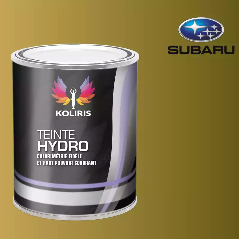 Peinture voiture hydro Subaru