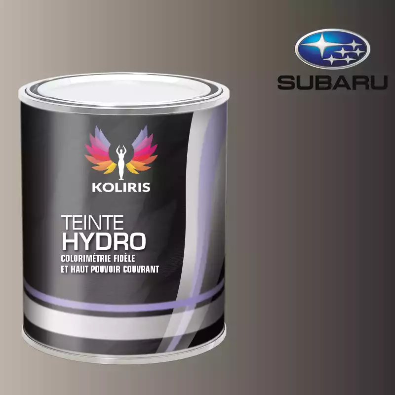 Peinture voiture hydro Subaru