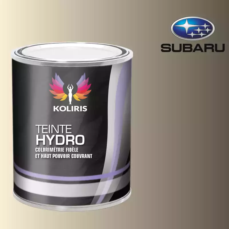 Peinture voiture hydro Subaru