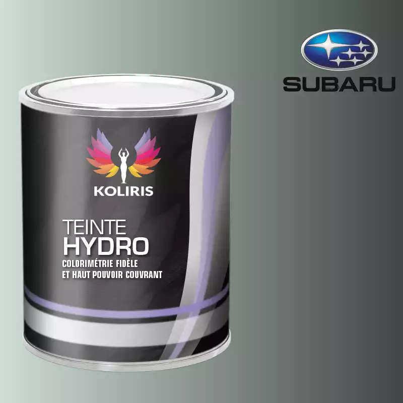 Peinture voiture hydro Subaru