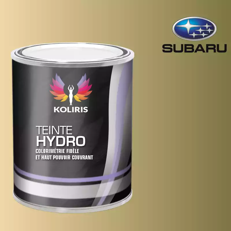 Peinture voiture hydro Subaru