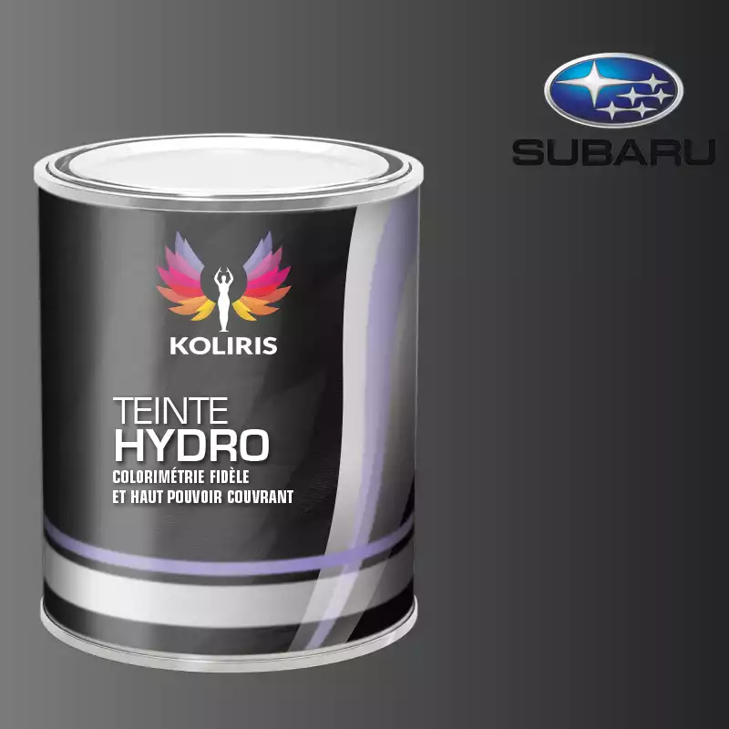 Peinture voiture hydro Subaru