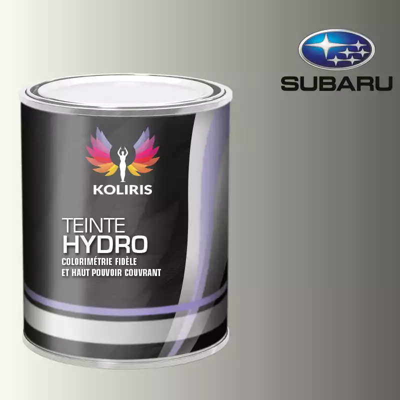 Peinture voiture hydro Subaru