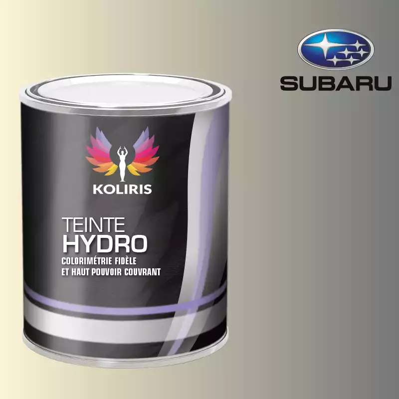 Peinture voiture hydro Subaru