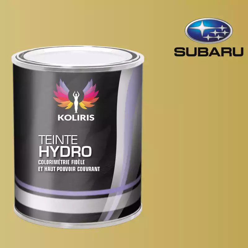 Peinture voiture hydro Subaru