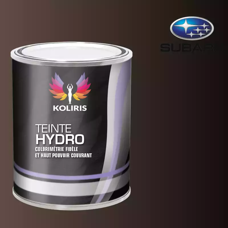 Peinture voiture hydro Subaru