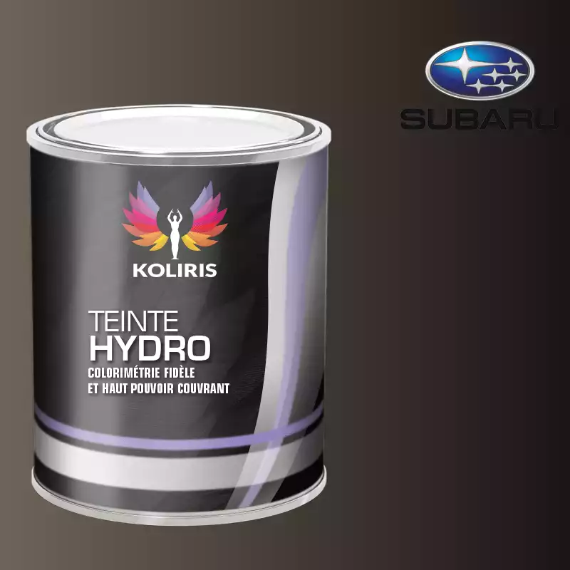 Peinture voiture hydro Subaru